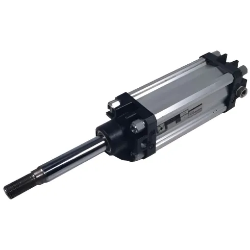 Стандартный пневмоцилиндр Pneumax 1319.100.0250.02