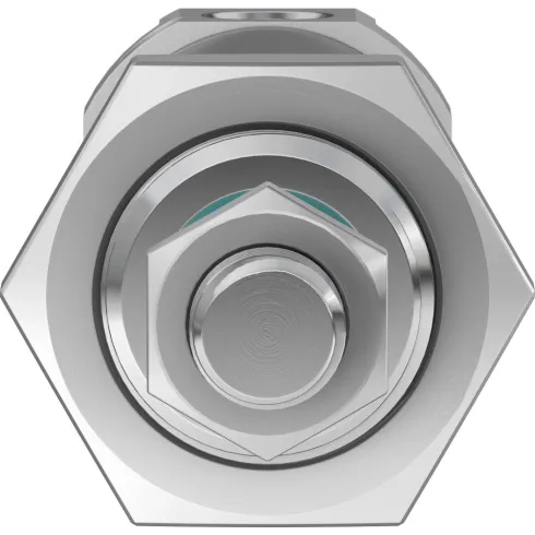 Круглый пневмоцилиндр Festo DSNU-25-15-PPV-A