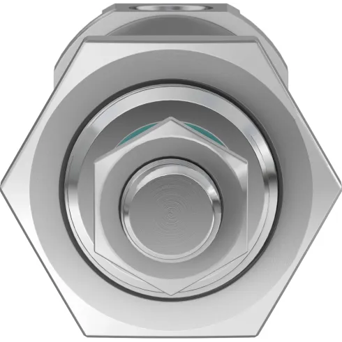 Круглый пневмоцилиндр Festo DSNU-25-20-PPV-A