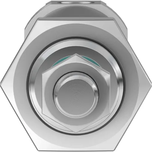 Круглый пневмоцилиндр Festo DSNU-25-30-PPV-A