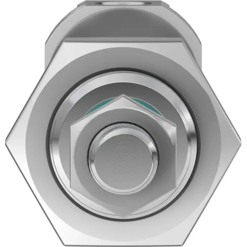 Круглый пневмоцилиндр Festo DSNU-25-60-PPV-A