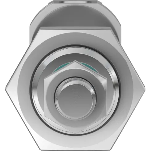 Круглый пневмоцилиндр Festo DSNU-25-80-PPV-A