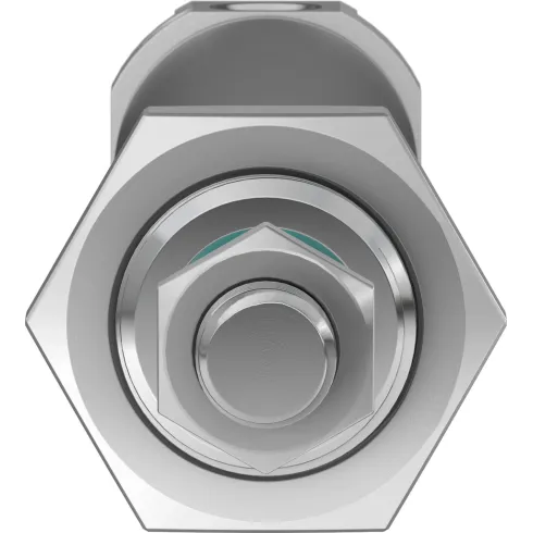 Круглый пневмоцилиндр Festo DSNU-25-100-PPV-A