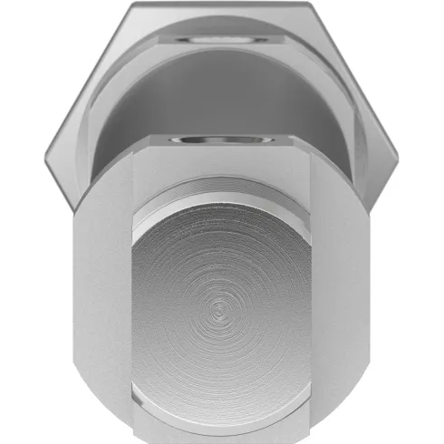 Круглый пневмоцилиндр Festo DSNU-25-100-PPV-A