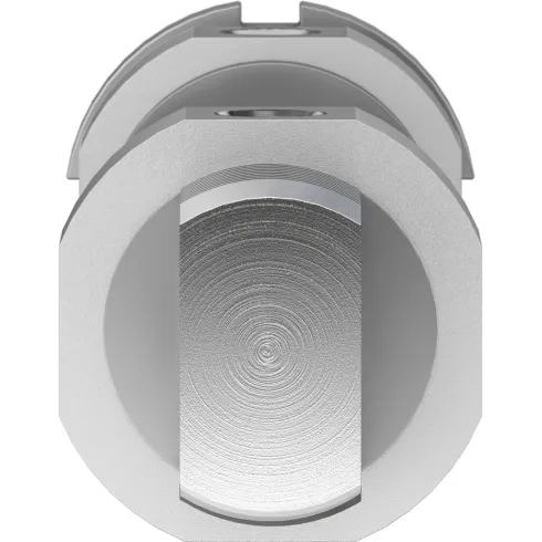 Круглый пневмоцилиндр Festo DSNU-32-80-P-A