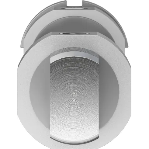 Круглый пневмоцилиндр Festo DSNU-32-100-P-A