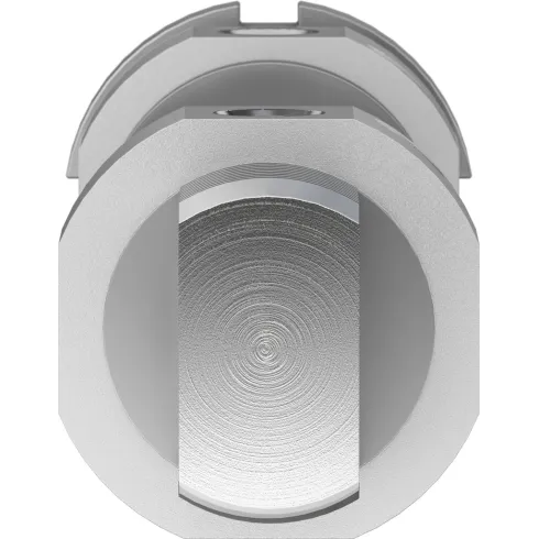 Круглый пневмоцилиндр Festo DSNU-32-80-PPV-A