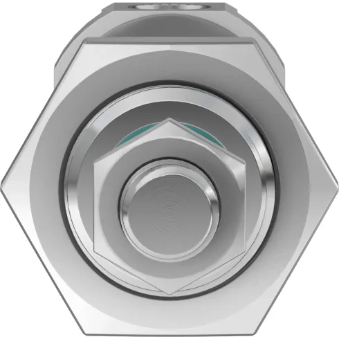 Круглый пневмоцилиндр Festo DSNU-25-25-PPS-A