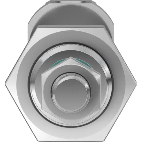 Круглый пневмоцилиндр Festo DSNU-25-80-PPS-A