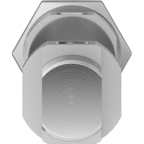 Круглый пневмоцилиндр Festo DSNU-25-80-PPS-A