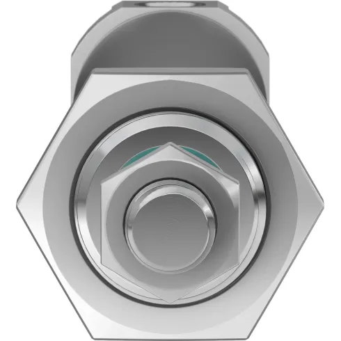 Круглый пневмоцилиндр Festo DSNU-25-100-PPS-A