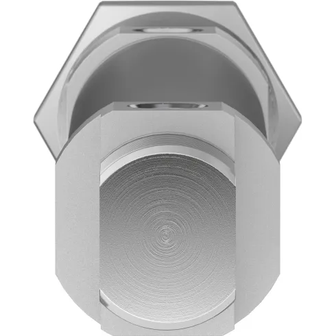 Круглый пневмоцилиндр Festo DSNU-25-100-PPS-A