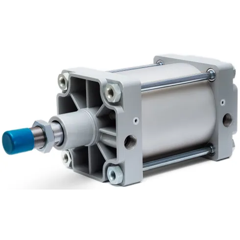 Стандартный пневмоцилиндр Naval Pneumatics DSBG-320-125-PPV-A