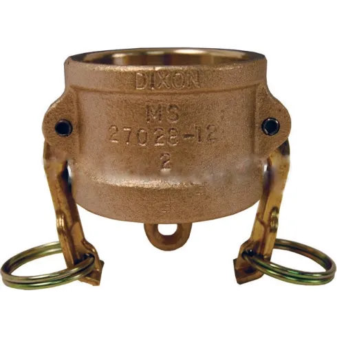 Заглушка для розетки типа DР из латуни Dixon 100DPBR 1"