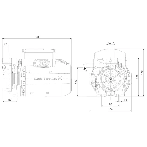 Вихревой насос для систем частного водоснабжения Grundfos PF 1-30 CVBP 99126433