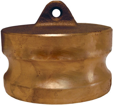 Заглушка для розетки типа DР из латуни Dixon 150DPBR 1,5"